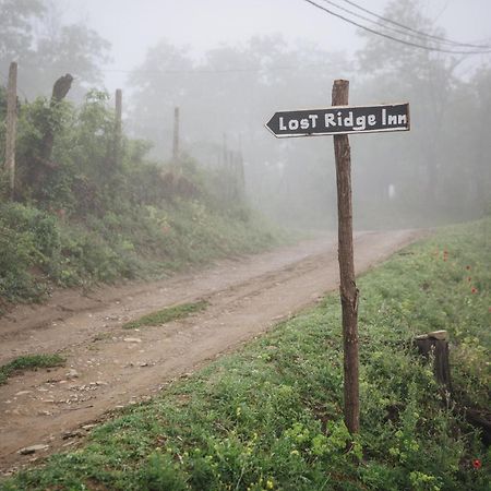 Lost Ridge Inn, Brewery & Ranch 西格纳吉 外观 照片